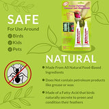 Nectar Fortress Natural Ant Block - Multi-Purpose Ant Guard for Hummingbirds Feeders - Twin Pack