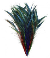 Zucker Feather - 10 Bright Jewel Tone Dyed Peacock Sword Feathers 35"