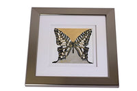 Eydelia - Glass Bead Mosaic Wall Art - Butterfly - Black & Pearl