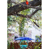 Couronne - Hummble Bold Bird Feeder - Aqua