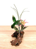 Bovano - Tabletop Sculpture - 3D Hummingbird & Flower