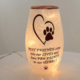 Stony Creek - Frosted Glass - 7" Lighted Vase - Best Friend/Paw Prints