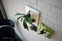 Pandemic - Node Indoor/Outdoor Wall Mounted Planter System - 9" - White