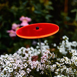 Cazador-del-sol - Suncatcher - Mini Singles - Red