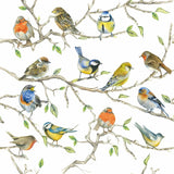 Paperproducts Design - 5" Beverage Napkins - Birds Meeting