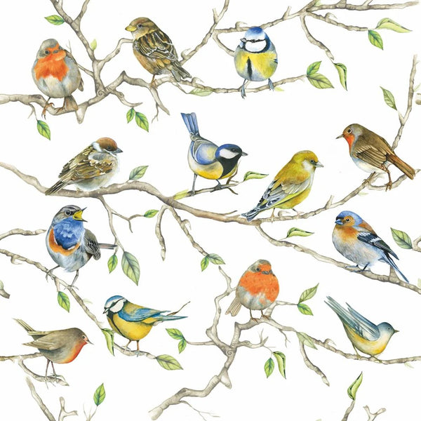 Paperproducts Design - 5" Beverage Napkins - Birds Meeting