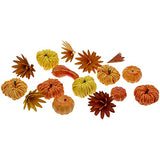 Boston International - Tabletop Mini Boxed Pumpkins - Orange