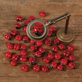 HomArt - Set of 5 Glass Ladybug - Red & Black