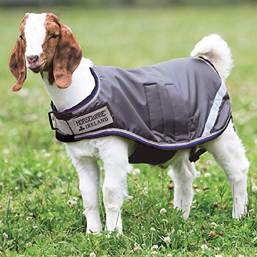 Horseware Ireland - Waterproof Goat Coat - Excalibur Silver & Blue - X-Large