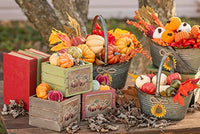 Boston International - Bag of 5 Pumpkins Décor - Colorful