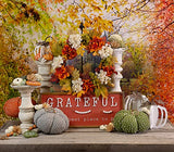 Boston International - Medium Plush Pumpkin - Orange Speckle