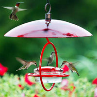 Couronne - Hanging Sphere Hummingbird Feeder w/ Perch - Red