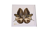 Eydelia - Butterfly Wing Wall Art - Butterfly - Brown