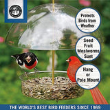 GC - Droll Yankees - Seed Saver Platform Feeder - 10-Inch Dome
