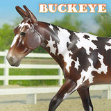 Breyer - Traditional Series - Buckeye - Dressage Mule