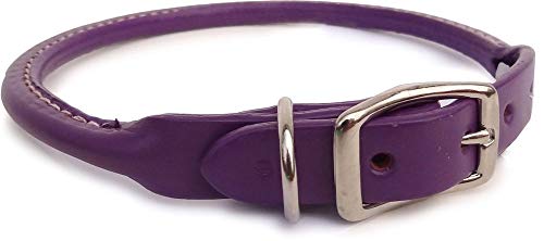 Auburn Leather - Rolled Round Dog Collar - 10"-12" - Purple