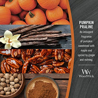 WoodWick - Wax Melts - Pumpkin Praline