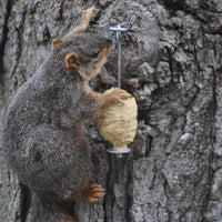 C&S Nut'n Sweet Corn Squirrelog, Single Pack Refill