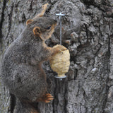 C&S Nut'n Sweet Corn Squirrelog, Single Pack Refill