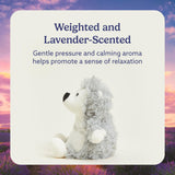 Warmies - Microwavable & Weighted Stuffed Animals - Hedgehog