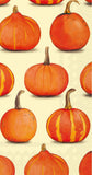 Boston International - Paper Guest Towel 16 Count - Pumpkin Party Cream