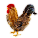 ZUCKER - Rustic Rooster Country Decorations | Farmhouse Decor | Natural Rooster Statue Figurine