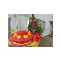 GC - First Nature 32-ounce Hummingbird Flower Feeder