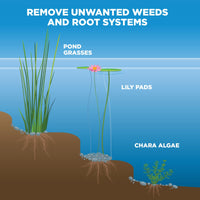 Weed Razer - Heavy Duty Aluminum Pond/Lake Raker