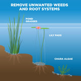 Weed Razer - Heavy Duty Aluminum Pond/Lake Raker