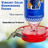 Hummer's Galore - 32 oz. Glass Hummingbird Feeder w/ UV Resistant Plastic Wrap - Kentucky Wildcats