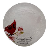 GC - Cardinal Appear - 6" LED Lighted Crackle Glass Globe