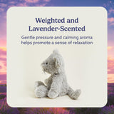 Warmies - Microwavable & Weighted Stuffed Animals - Mouse