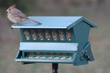 GC - Woodlink Absolute II - Double Sided Squirrel Proof Bird Feeder