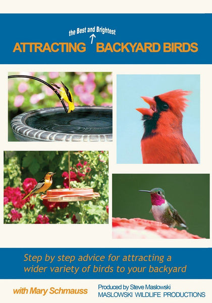 GC - Attracting the Best and Brightest Birds DVD