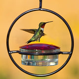 Couronne - Hummble Slim Hummingbird Feeder - Red