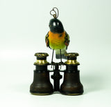 Mullanium - Steampunk Inspired Sculpture - Silver Ear Mesia on Binoculars