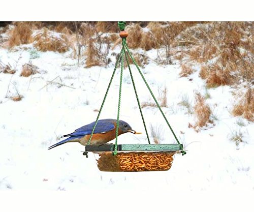GC - Songbird Essentials - Plastic Hanging Dish - Mealworm Feeder