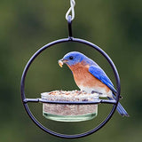 Couronne - 7" Hanging Sphere Bird Feeder - Clear