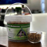 GC - Songbird Essentials - Dried Meal Worms - 7 oz. Tub