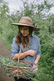 Tula Hats - Ranch Lattice - Medium Tan