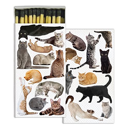 HomArt - Match Box Set of 2 - Cat Pack