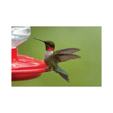 GC - First Nature 32-ounce Hummingbird Flower Feeder