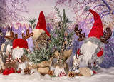 Boston International - Small Gnome - Walt The Winter Gnome