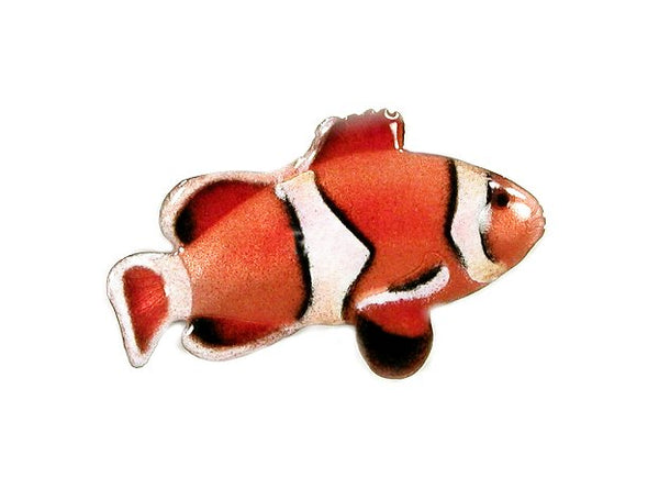 Bovano - Wall Sculpture - Anemone Fish - Right Facing
