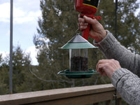 Beck's EZ Fill Sunflower/Safflower Hopper Bird Feeder