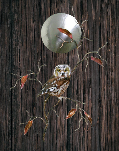 Bovano - Wall Sculpture - Saw Whet Owl w/ Stainless Steel Moon