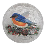 GC - Bluebird Crackle - 6" LED Lighted Crackle Glass Globe