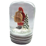 Napco - Mason Jar Water Globe - Santa