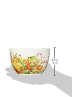 Boston International - 3 Ceramic Bowls - Calabaza