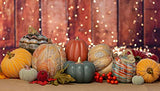 Boston International - Polyresin Pumpkin - Matte Teal